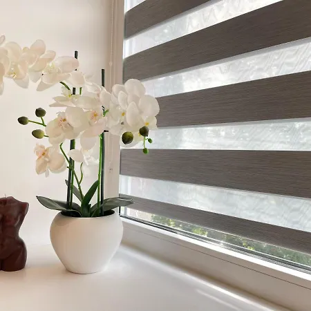 شقة Balvi Apartment